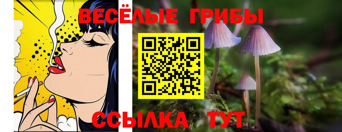 Псилоцибиновые грибы прущие грибы  Псилоцибиновые грибы GOLDEN TEACHER  Троицк  Вход с VPN 