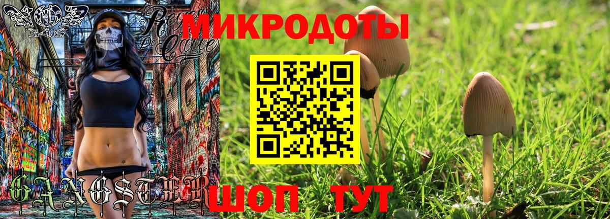 Галлюциногенные грибы Psilocybe Троицк